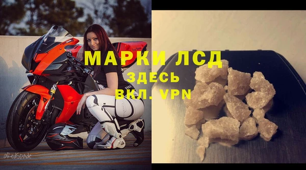 ГАЛЛЮЦИНОГЕННЫЕ ГРИБЫ Аркадак